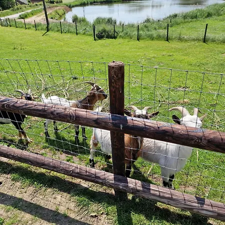 Des étangs à Montzen