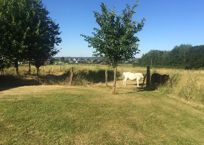Des étangs à Montzen Casa de Férias *